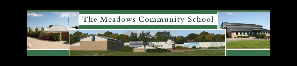 The Meadows Community School banner