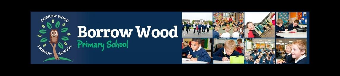Borrow Wood Primary School banner