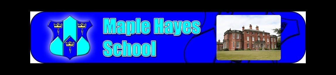 Maple Hayes Dyslexia School banner