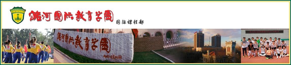 Beijing Luhe International Academy banner