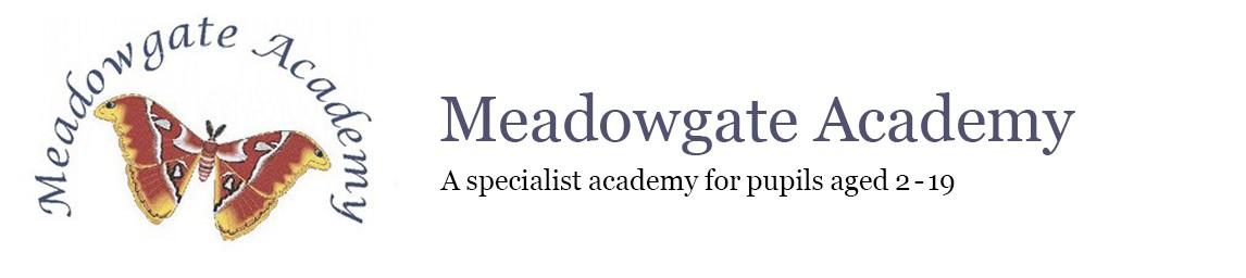 Meadowgate Academy banner