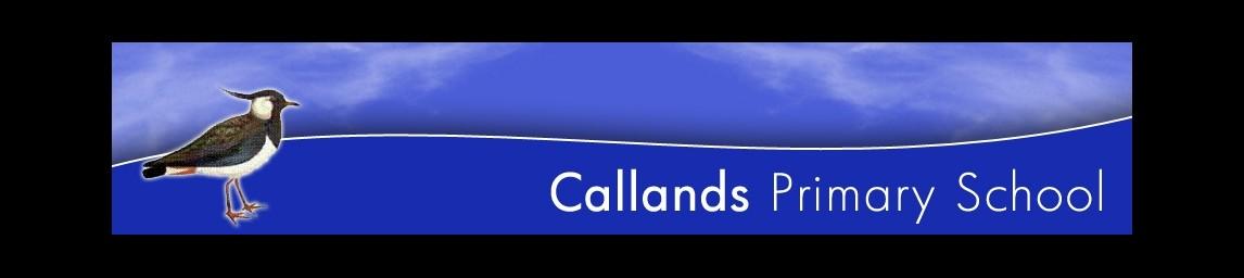 Callands Primary School banner