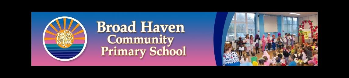 Broad Haven School banner