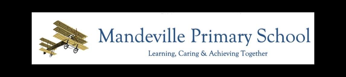 Mandeville Primary School banner