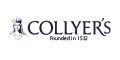 The College of Richard Collyer logo