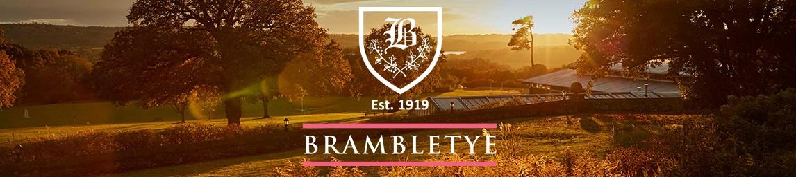 Brambletye banner