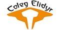 Coleg Elidyr logo