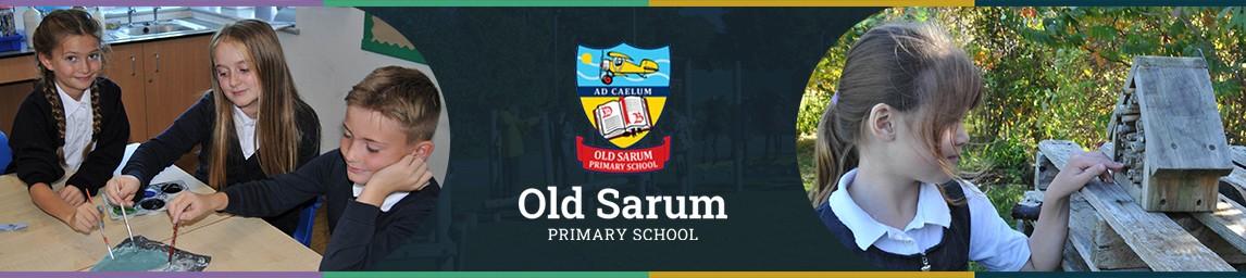 Old Sarum Primary School banner
