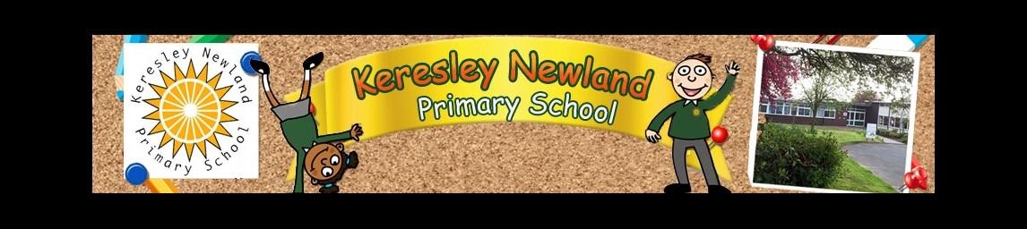 Keresley Newland Primary Academy banner