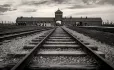 Holocaust education: Understanding sources of (mis)information